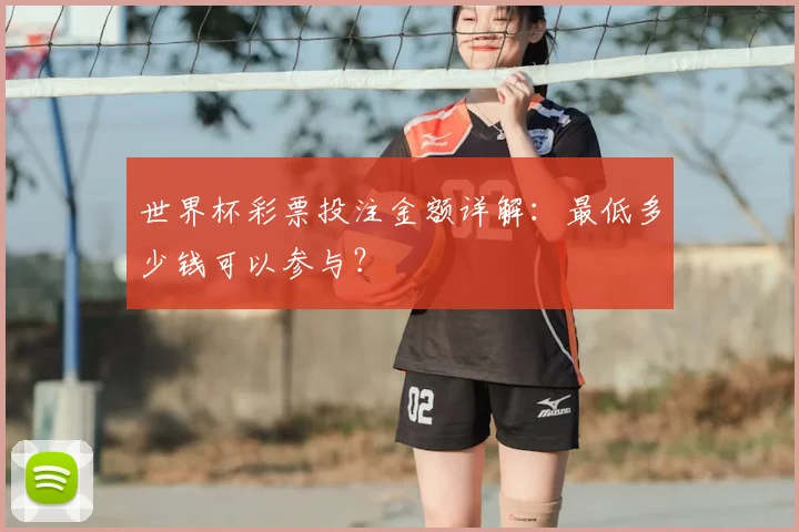 世界杯彩票投注金额详解:最低多少钱可以参与?