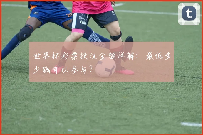 世界杯彩票投注金额详解：最低多少钱可以参与？