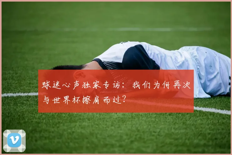 球迷心声独家专访：我们为何再次与世界杯擦肩而过？