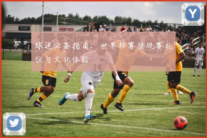 球迷必备指南：世界杯赛场观赛礼仪与文化体验