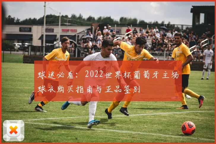 球迷必看：2022世界杯葡萄牙主场球衣购买指南与正品鉴别