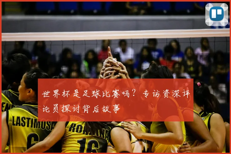 世界杯是足球比赛吗？专访资深评论员探讨背后故事
