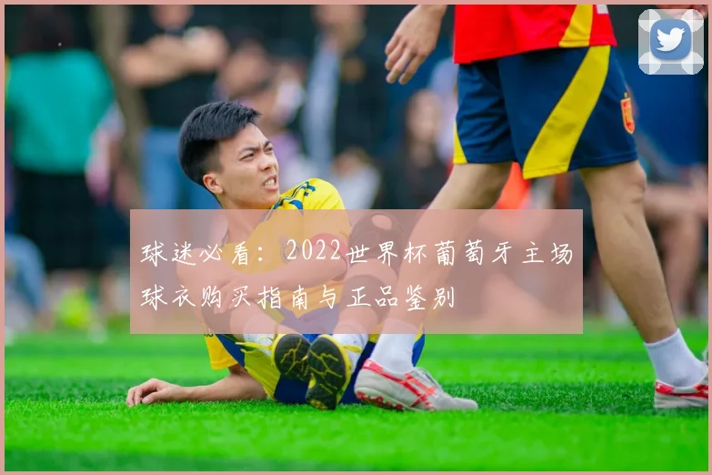 球迷必看：2022世界杯葡萄牙主场球衣购买指南与正品鉴别