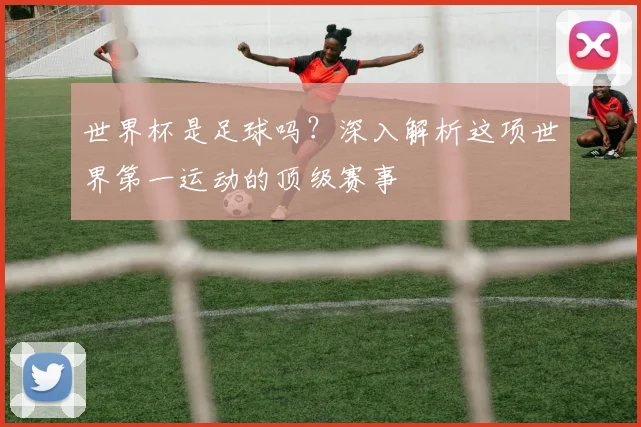 世界杯是足球吗？深入解析这项世界第一运动的顶级赛事