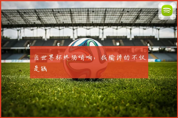 当世界杯终场哨响，我输掉的不仅是钱