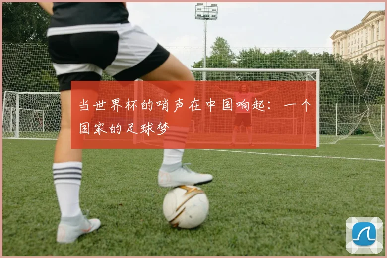 当世界杯的哨声在中国响起：一个国家的足球梦