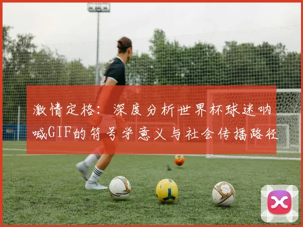 激情定格：深度分析世界杯球迷呐喊GIF的符号学意义与社会传播路径