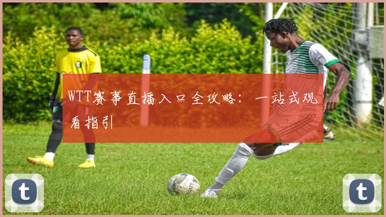 WTT赛事直播入口全攻略：一站式观看指引