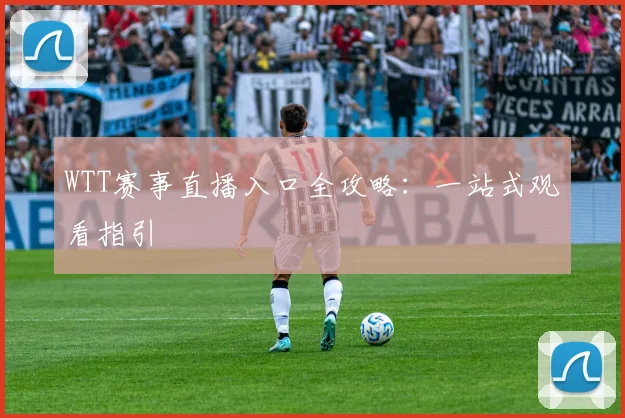 WTT赛事直播入口全攻略：一站式观看指引